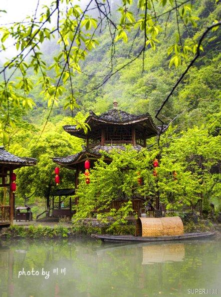 逃离天鹅森林