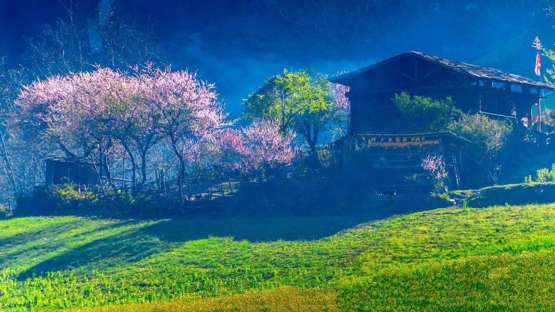 逃离小人国森林